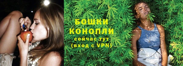 молекула духа Балахна