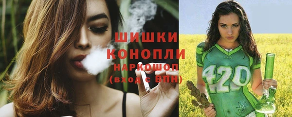 молекула духа Балахна